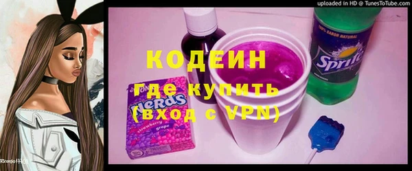 гашик Семилуки