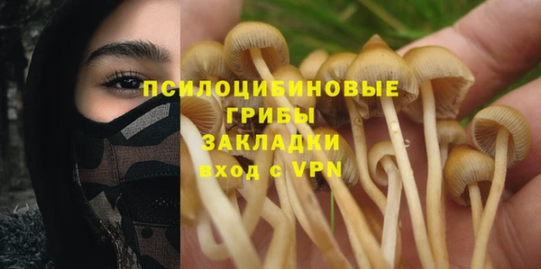 spice Семёнов