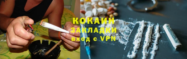 гашик Семилуки