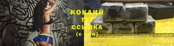 гашик Семилуки