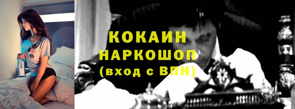 spice Семёнов