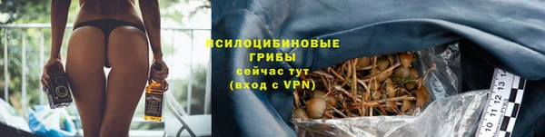 гашик Семилуки