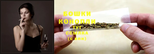 гашик Семилуки