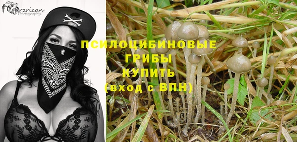 spice Семёнов