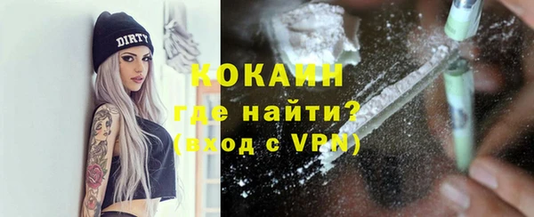 гашик Семилуки